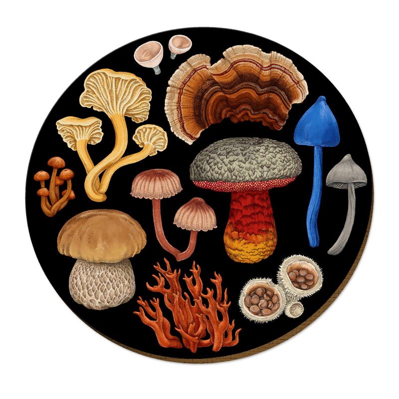 NZ Fungi Bolete - Placemat