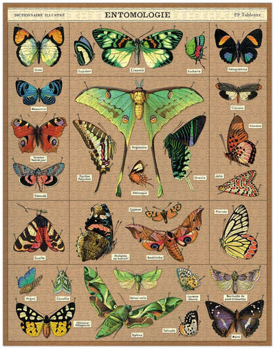 Entomology 1000 Pce - Vintage Puzzle