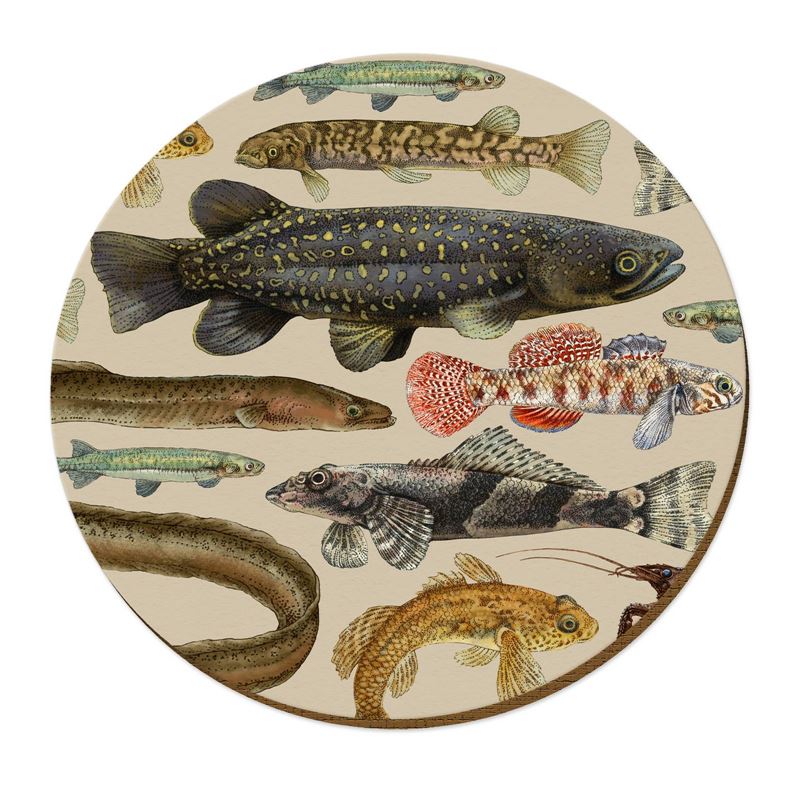 Freshwater Fish - Placemat