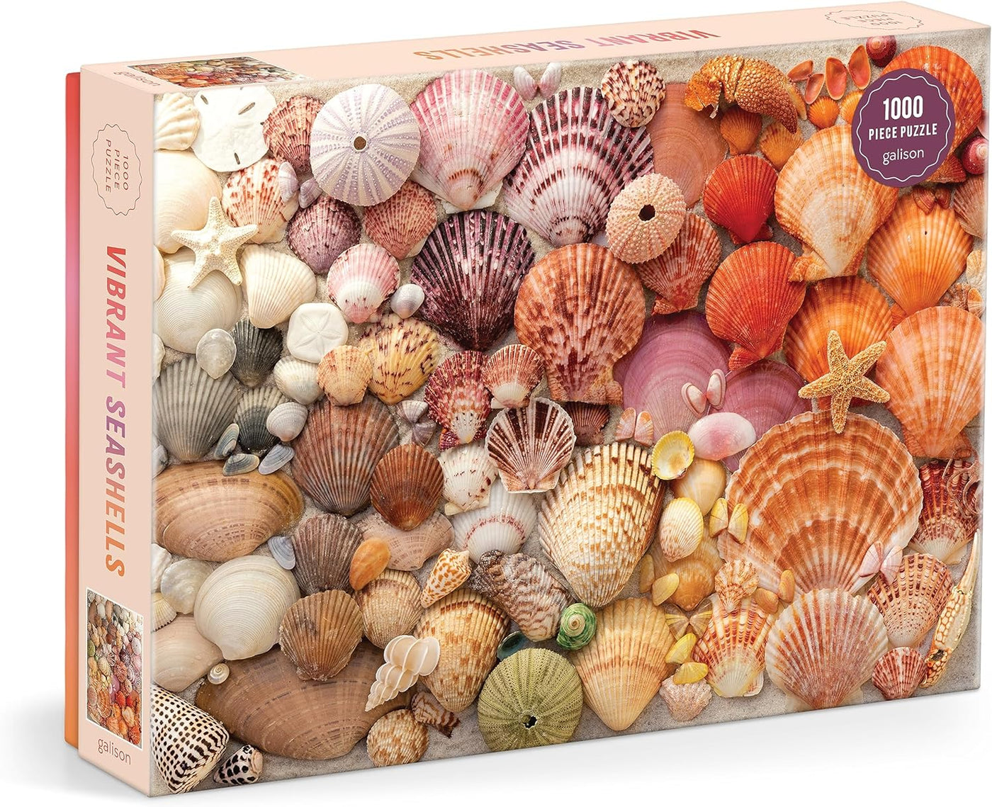 Vibrant Seashells 1000 Piece Puzzle