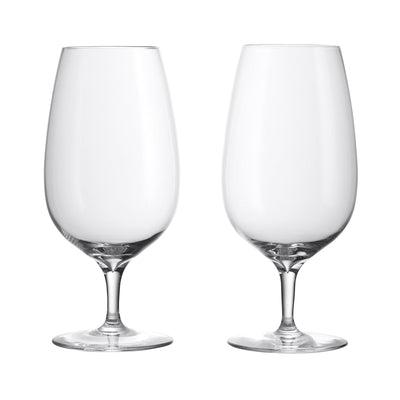 Craft Brew Set of 2 Stemmed Beer Glass 600ml